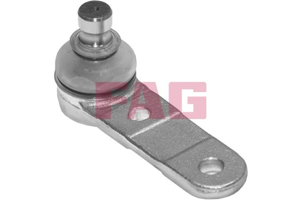 825029210 Schaeffler FAG Giunto di supporto / guida 
