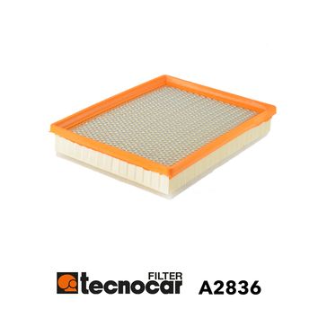 A2836 TECNOCAR Filtro aria 