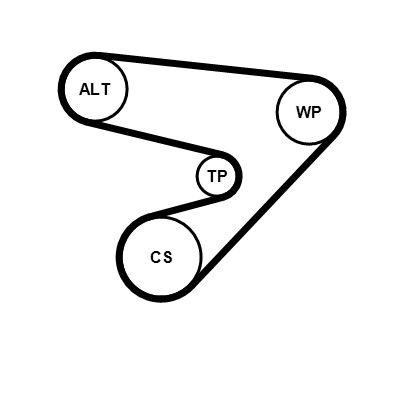 5PK1230K1 CONTINENTAL CTAM Kit Cinghie Poly-V 