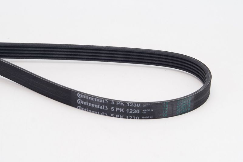 5PK1230 CONTINENTAL CTAM Cinghia Poly-V 