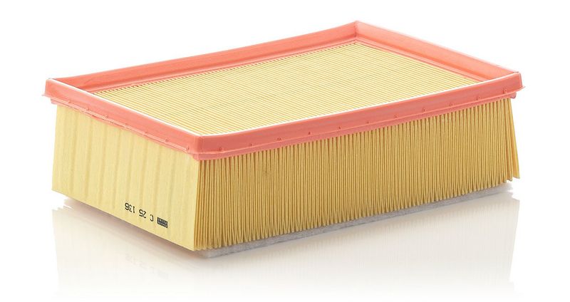 C25136 MANN-FILTER Filtro aria 