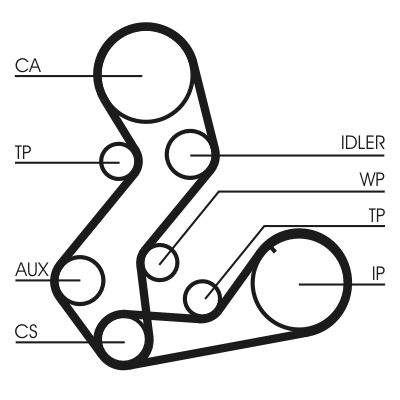 CT901(SET) CONTINENTAL CTAM Cinghia dentata 