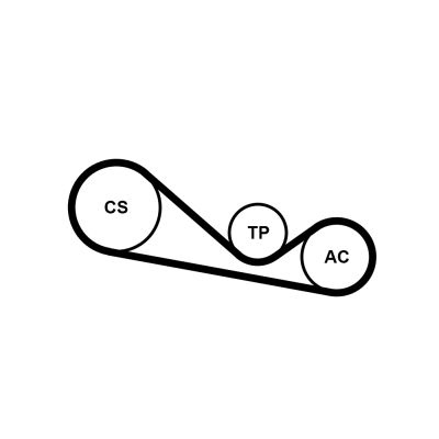 4PK1237K1 CONTINENTAL CTAM Kit Cinghie Poly-V 