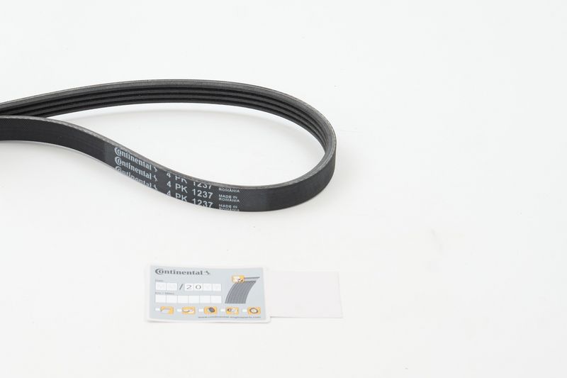 4PK1237 CONTINENTAL CTAM Cinghia Poly-V 