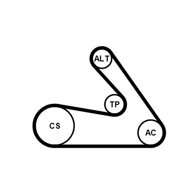 6PK1244K1 CONTINENTAL CTAM Kit Cinghie Poly-V 