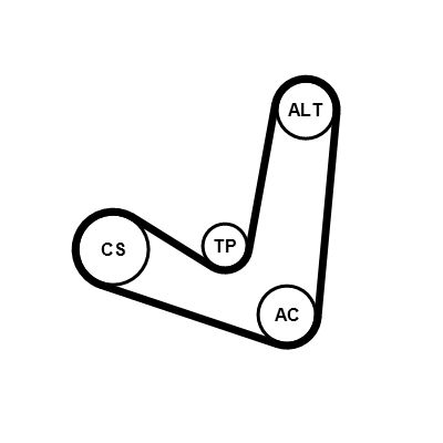 6PK1244K2 CONTINENTAL CTAM Kit Cinghie Poly-V 