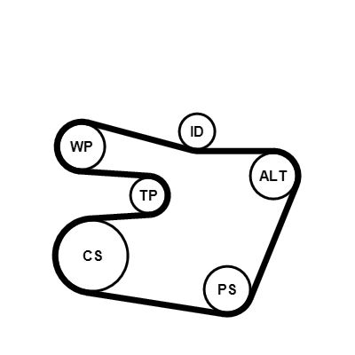 6PK1538K1 CONTINENTAL CTAM Kit Cinghie Poly-V 