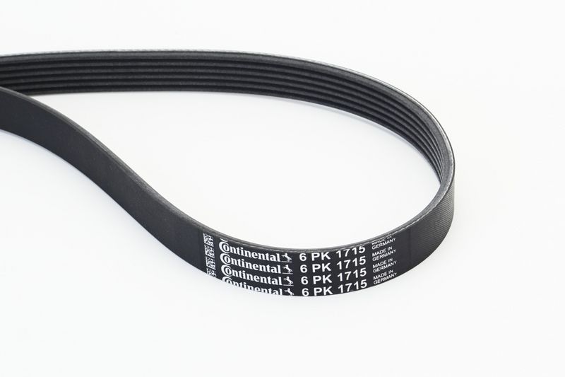 6PK1715 CONTINENTAL CTAM Cinghia Poly-V 