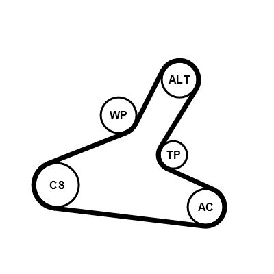 7PK1165K1 CONTINENTAL CTAM Kit Cinghie Poly-V 