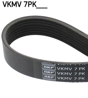 VKMV7PK1322 SKF Cinghia Poly-V 