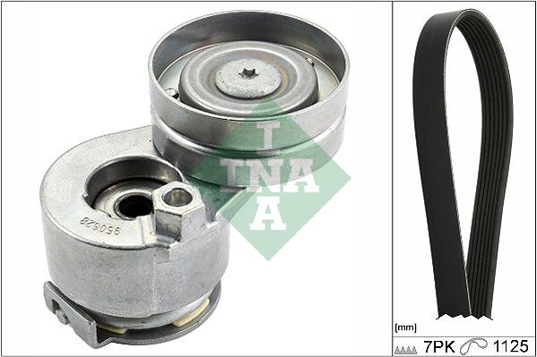 529008810 Schaeffler INA Kit Cinghie Poly-V 