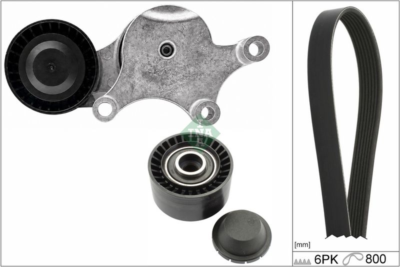 529021310 Schaeffler INA Kit Cinghie Poly-V 