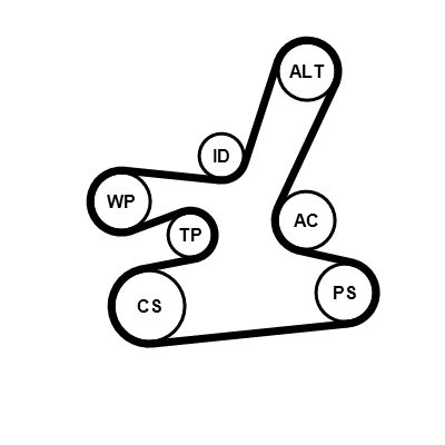 6DPK1817K1 CONTINENTAL CTAM Kit Cinghie Poly-V 