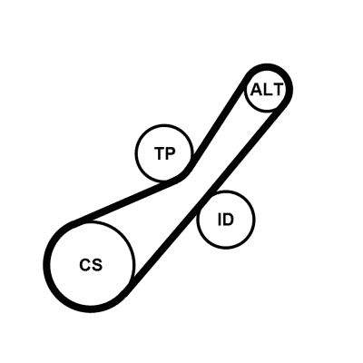 6PK800K1 CONTINENTAL CTAM Kit Cinghie Poly-V 