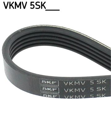 VKMV5SK595 SKF Cinghia Poly-V 