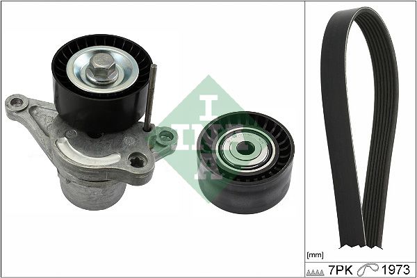 529031710 Schaeffler INA Kit Cinghie Poly-V 