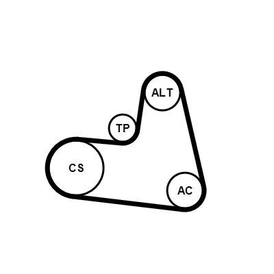 6PK1217K1 CONTINENTAL CTAM Kit Cinghie Poly-V 