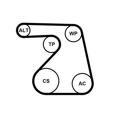 6PK1217K2 CONTINENTAL CTAM Kit Cinghie Poly-V 