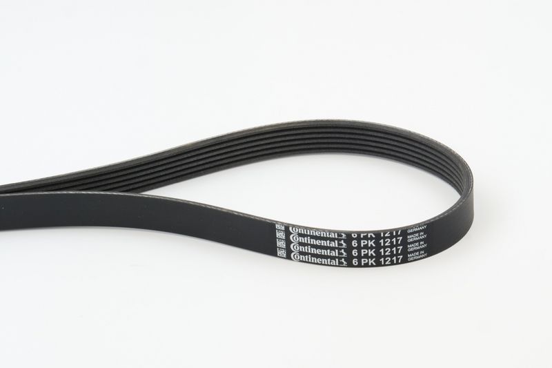 6PK1217 CONTINENTAL CTAM Cinghia Poly-V 