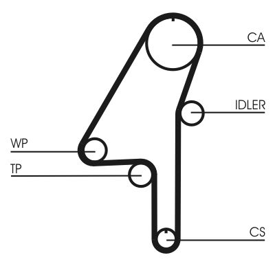 CT1010 CONTINENTAL CTAM Cinghia dentata 