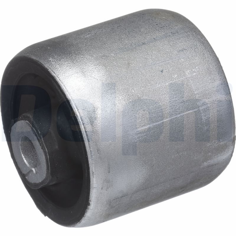 TD1633W DELPHI Supporto, Braccio oscillante 