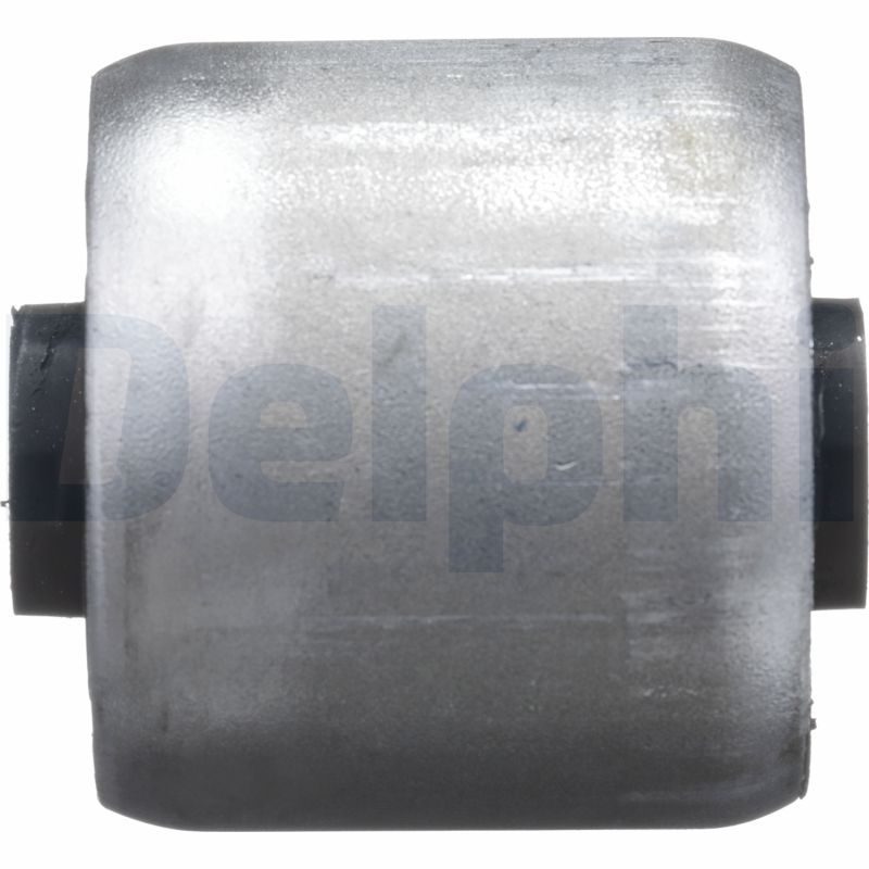 TD1633W DELPHI Supporto, Braccio oscillante 