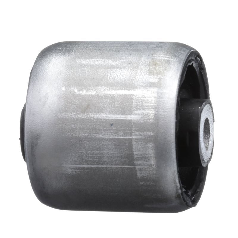 TD1633W DELPHI Supporto, Braccio oscillante 