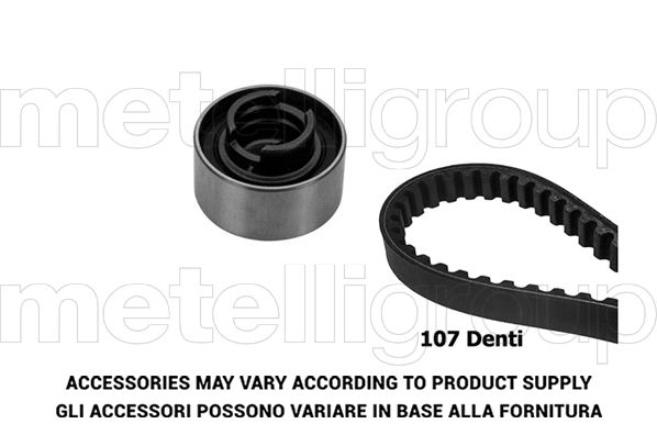 TP258 GRAF Kit cinghie dentate 