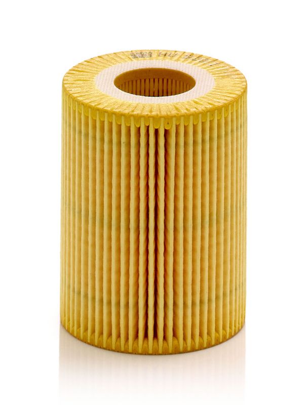 HU820/1Y MANN-FILTER Filtro olio 