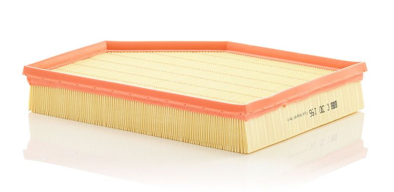 C30196 MANN-FILTER Filtro aria 