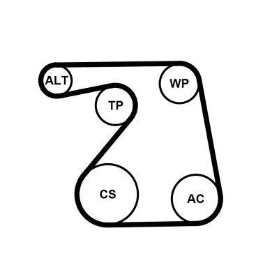 6PK1360K1 CONTINENTAL CTAM Kit Cinghie Poly-V 