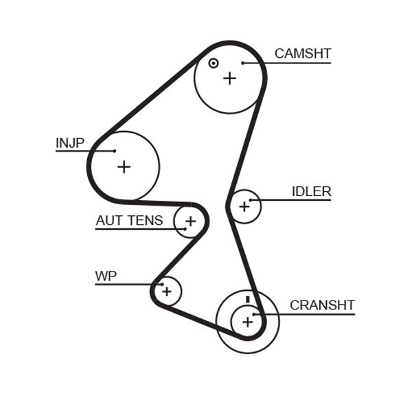K015598XS GATES Kit cinghie dentate 