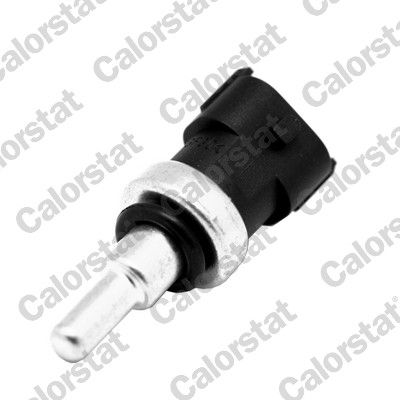 WS3046 CALORSTAT by Vernet Sensore, temperatura refrigerante 